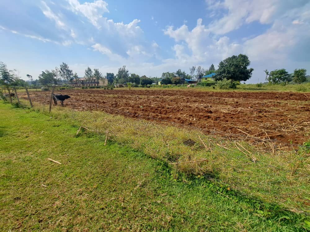 On-site farming initiative